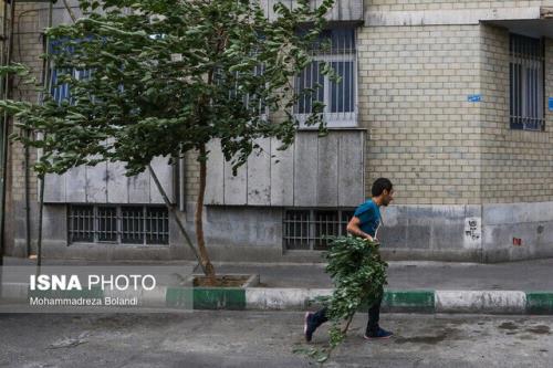 اخطار نسبت به وزش باد شدید در تهران