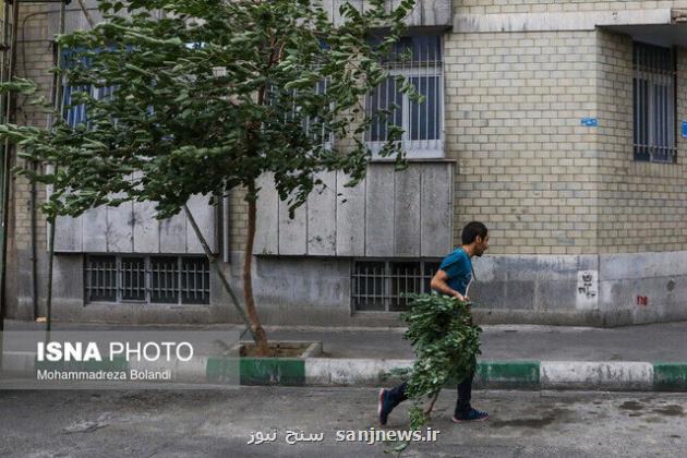 اخطار نسبت به وزش باد شدید در تهران