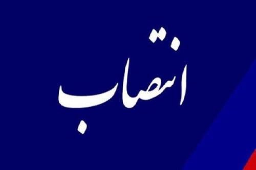 سرپرست معاونت توسعه منابع انسانی و پشتیبانی هلال احمر انتخاب شد